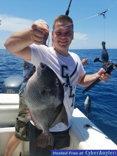 Click to Enlarge Photo