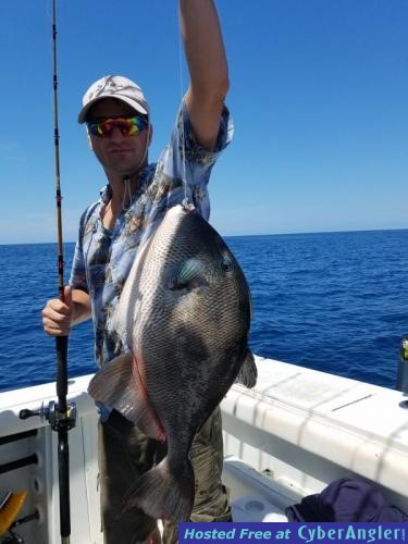 Click to Enlarge Photo