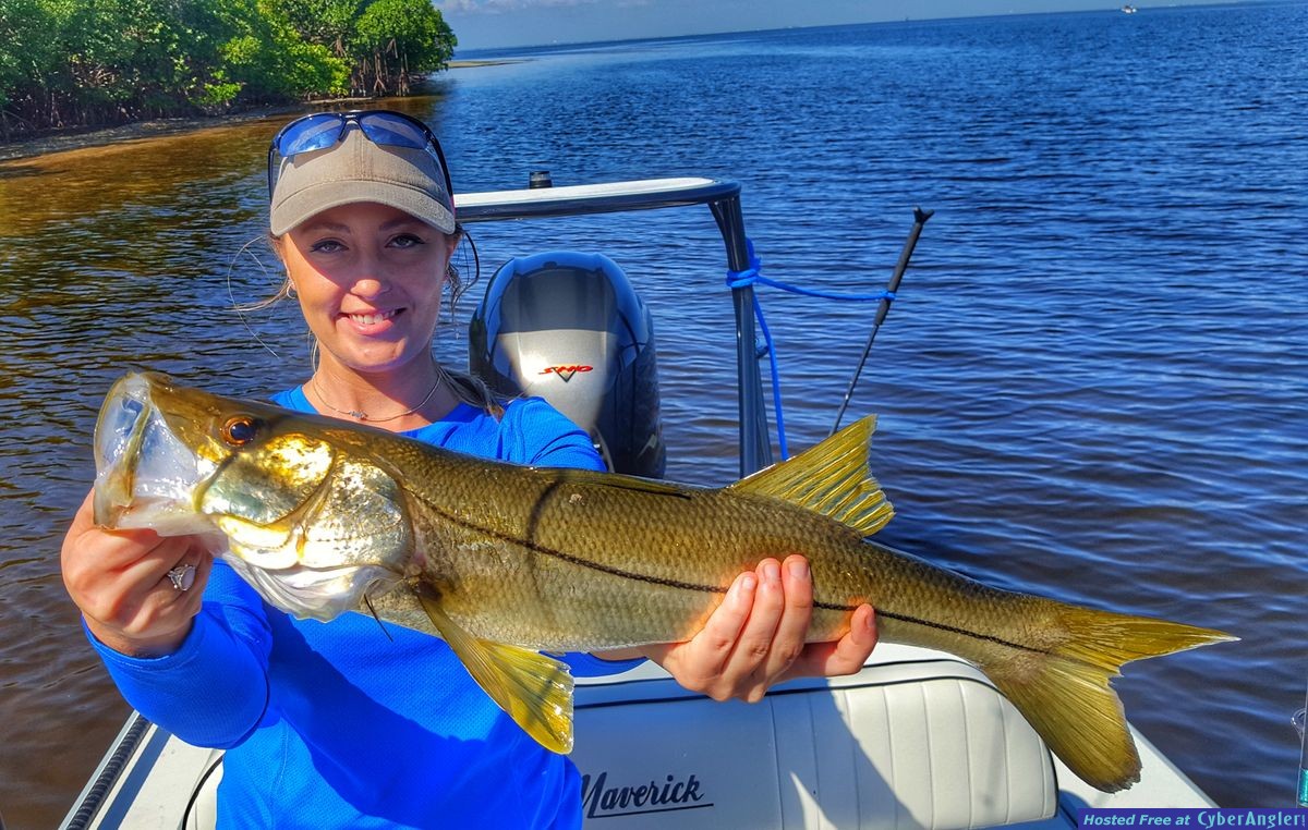 nov snook