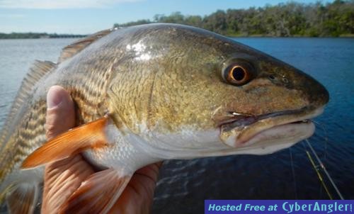 Click to Enlarge Photo