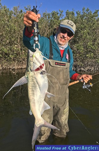 Click to Enlarge Photo