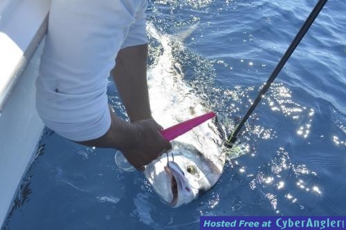 Click to Enlarge Photo