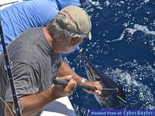 Click to Enlarge Photo