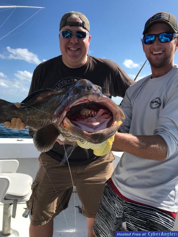 grouper1