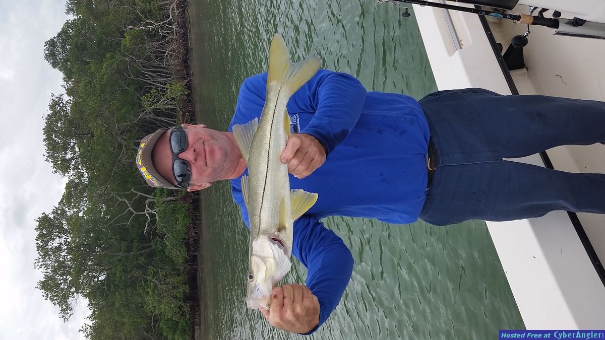 Snook fishing charlotte county florida mytarpon.com