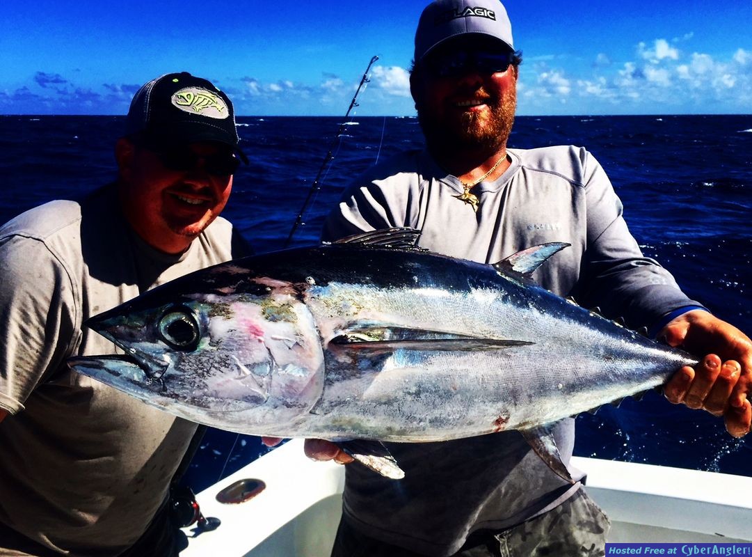 Islamorada_Black_fin_tuna_fishing_florida_keys