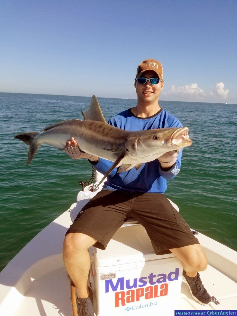 Click to Enlarge Photo