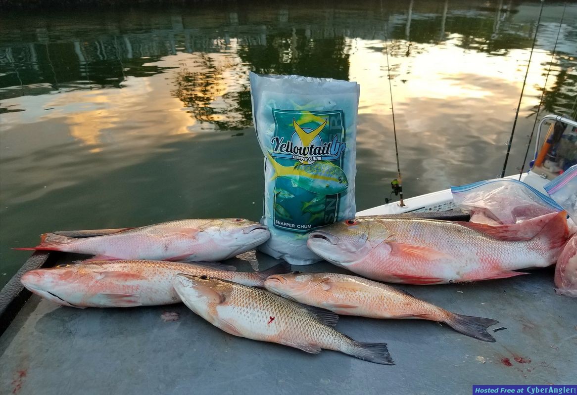 Click to Enlarge Photo