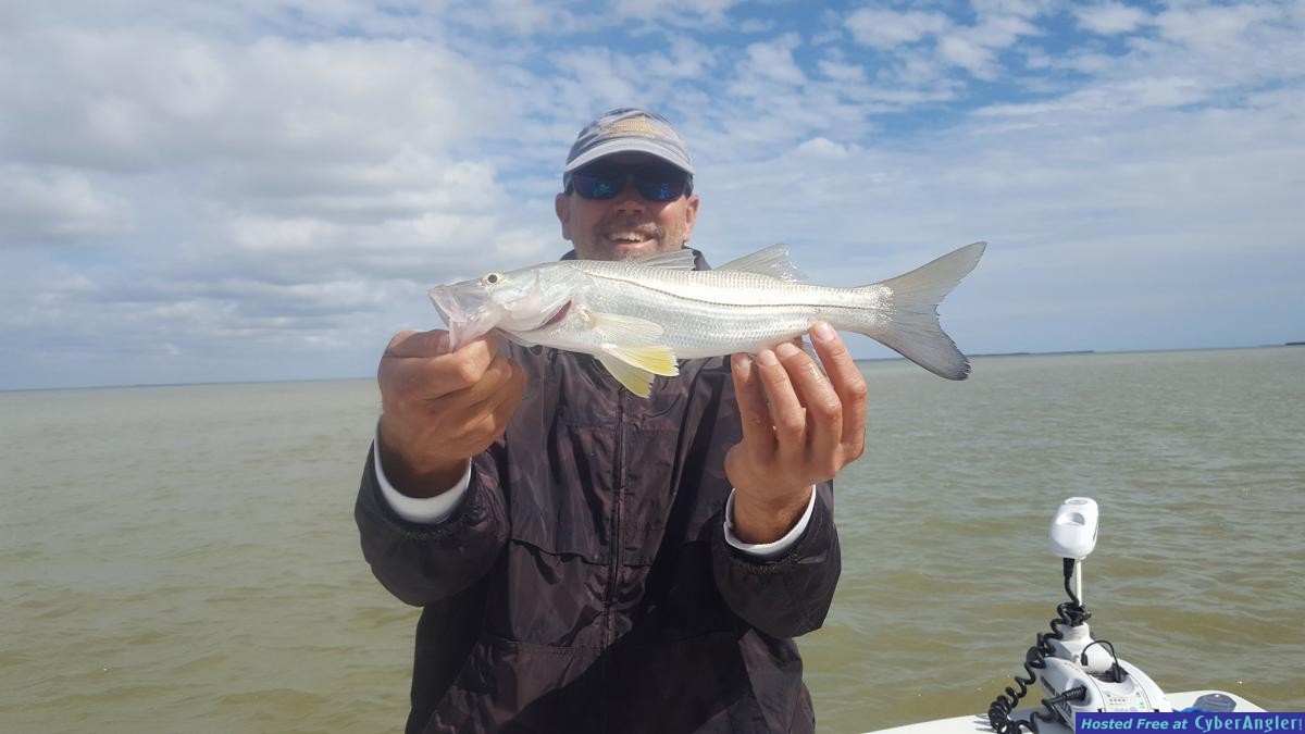 112717snook1