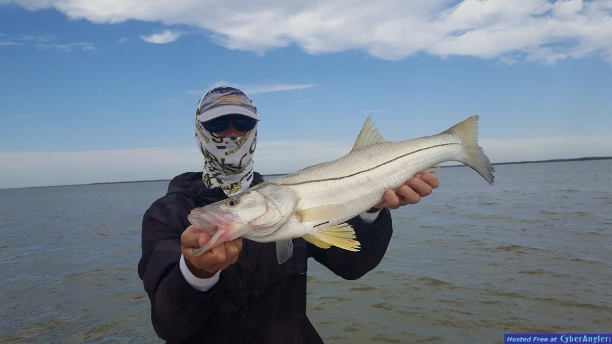 112717snook3