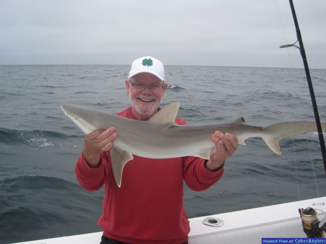 48-inch blacknose-Connealy