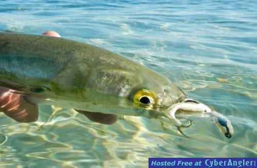 Click to Enlarge Photo