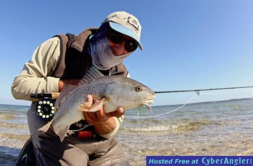 Click to Enlarge Photo