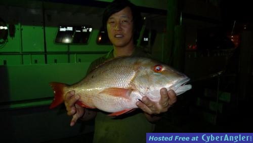 Nice_mutton_snapper__3_