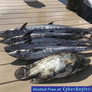 Click to Enlarge Photo