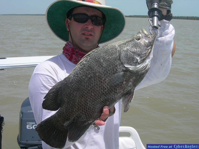 Tripletail and Capt. Ariel