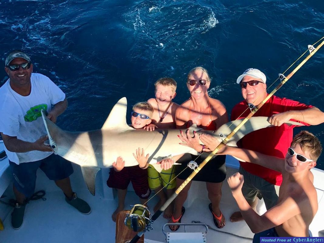 Hammerhead_Chris