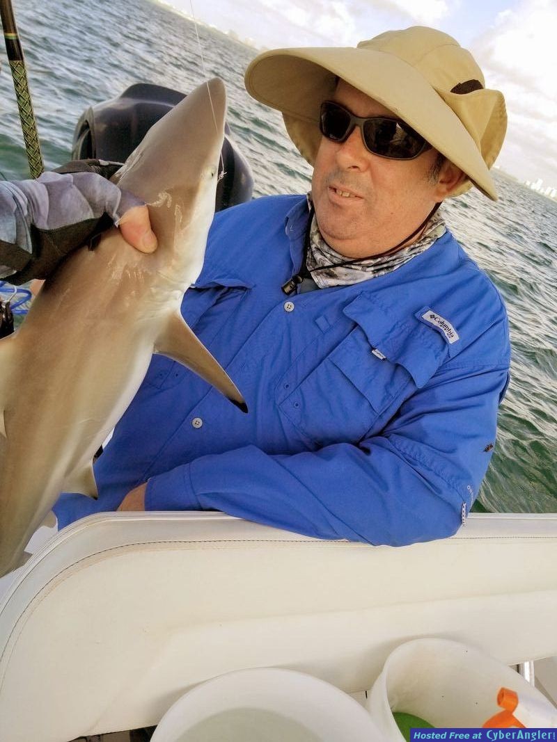 Click to Enlarge Photo