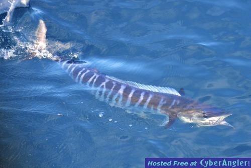 Click to Enlarge Photo