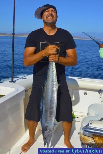 Click to Enlarge Photo