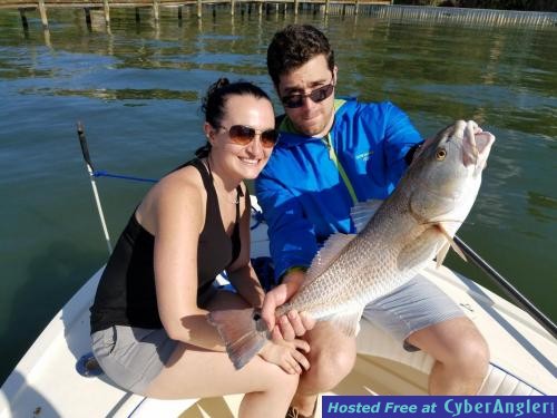 Big_red_drum_caught_while_fishing_near_seminole_boat_ramp_on_clearwater_fis