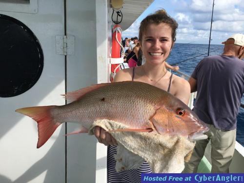 Click to Enlarge Photo