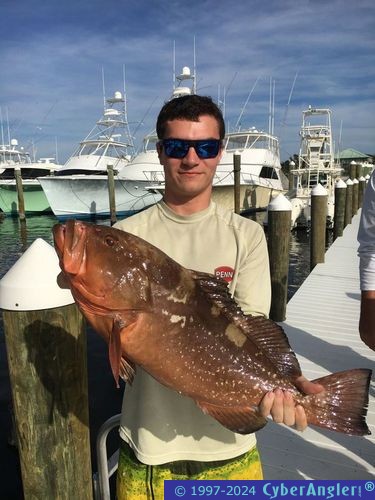 Click to Enlarge Photo