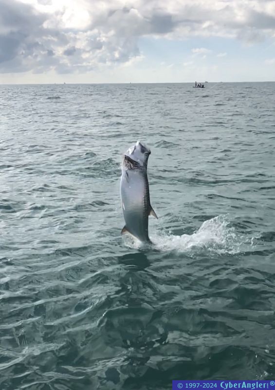 Click to Enlarge Photo