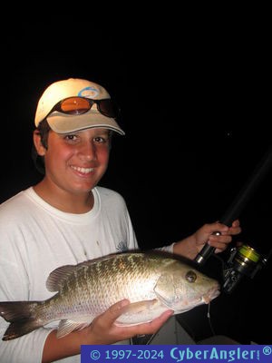 Click to Enlarge Photo