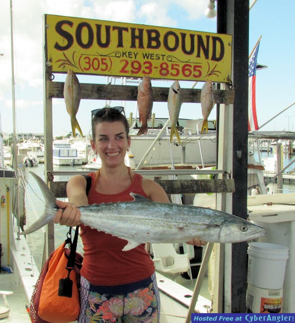 27_am_Mackerel_at_the_dock