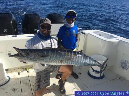 Click to Enlarge Photo