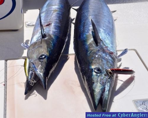 Click to Enlarge Photo