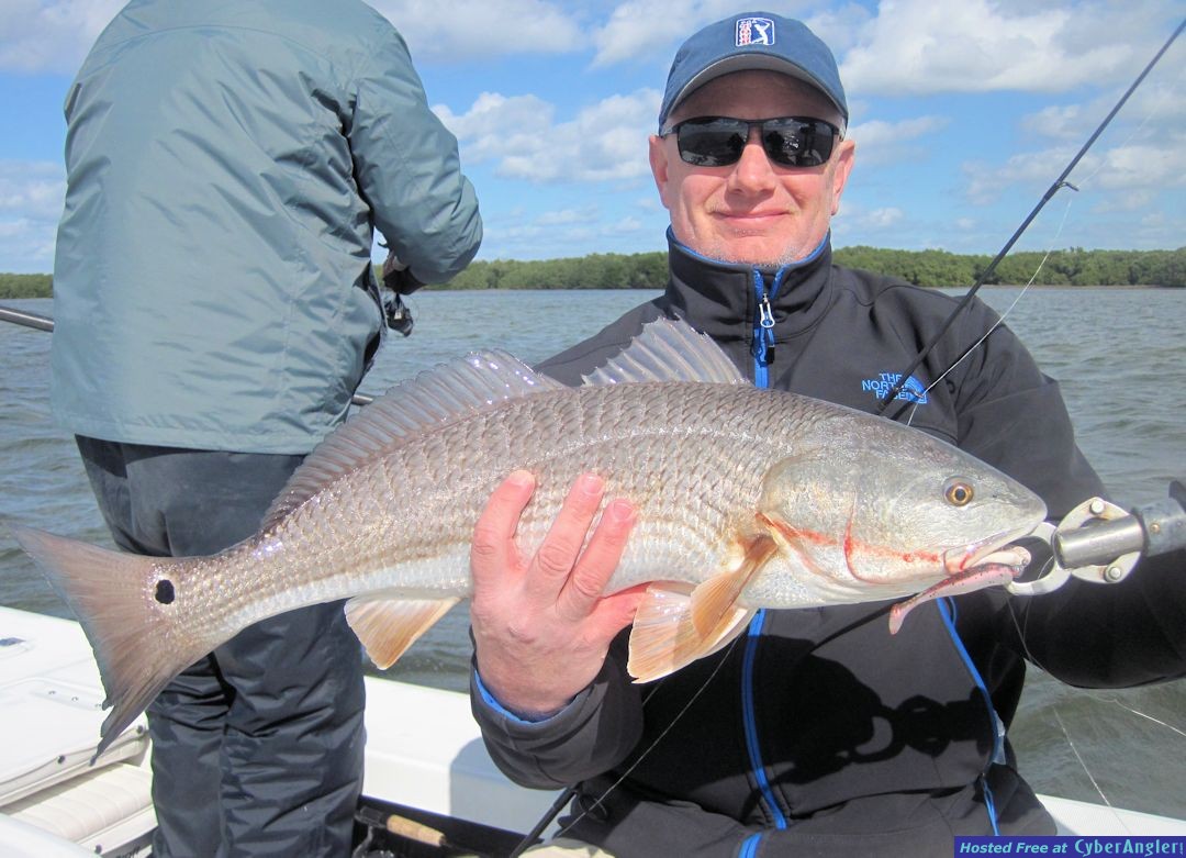 Click to Enlarge Photo