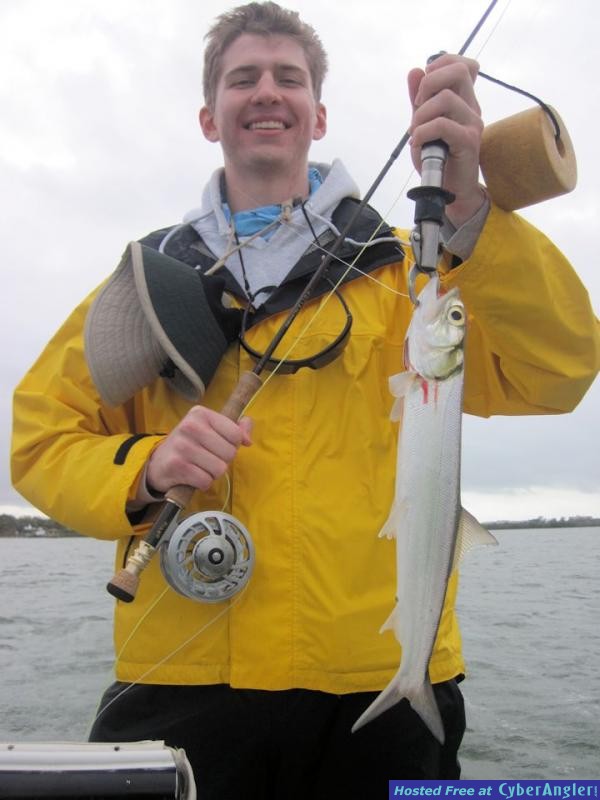 Click to Enlarge Photo