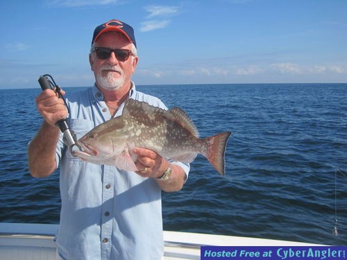 near 20-inch red grouper released