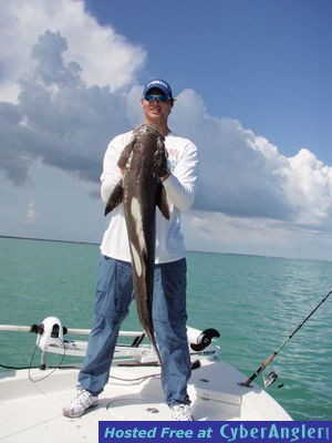 Click to Enlarge Photo