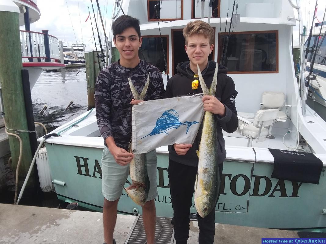 Mahi_mahi_Felipe