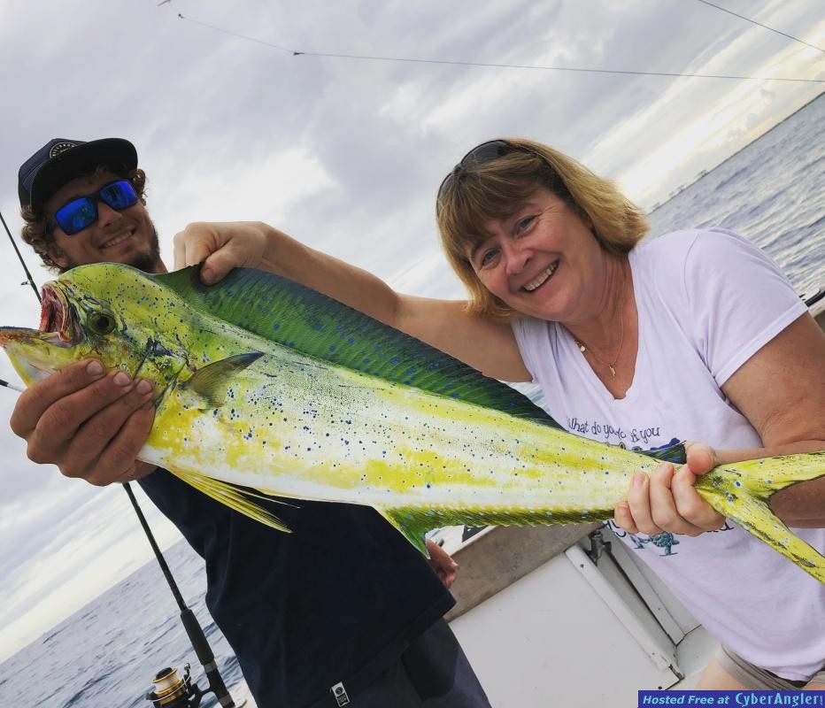 Click to Enlarge Photo