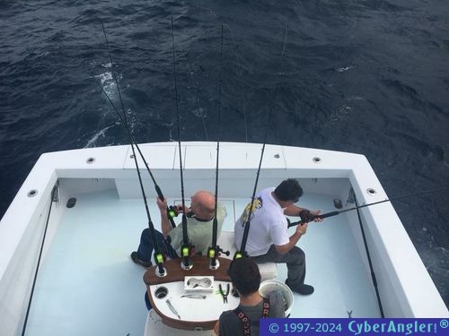 Click to Enlarge Photo