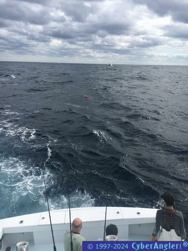 Click to Enlarge Photo