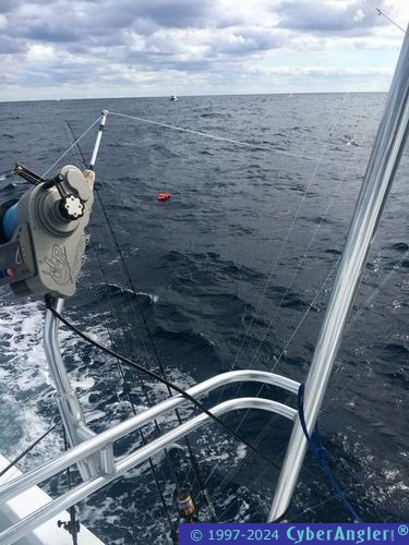 Click to Enlarge Photo