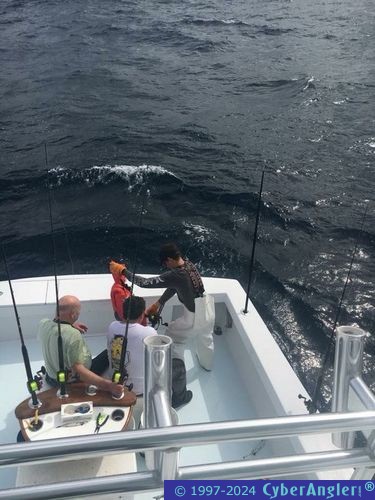 Click to Enlarge Photo