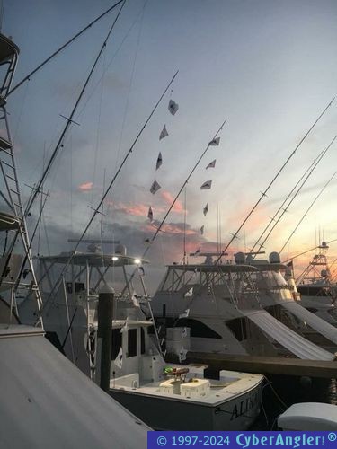 Click to Enlarge Photo