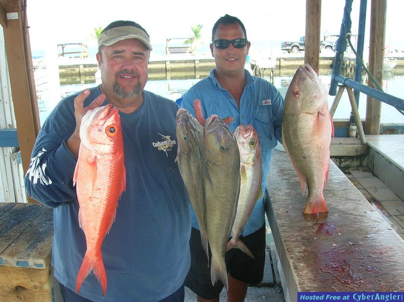 Fish_8-2-2008