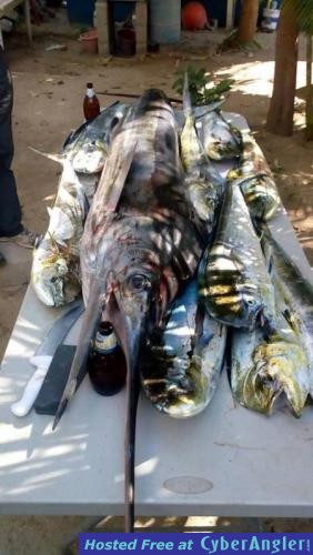 Click to Enlarge Photo