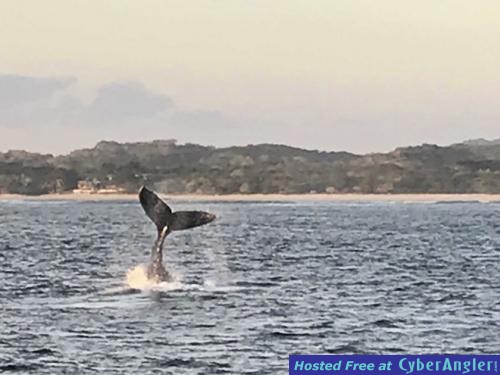 Click to Enlarge Photo