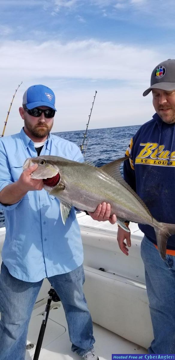 Click to Enlarge Photo