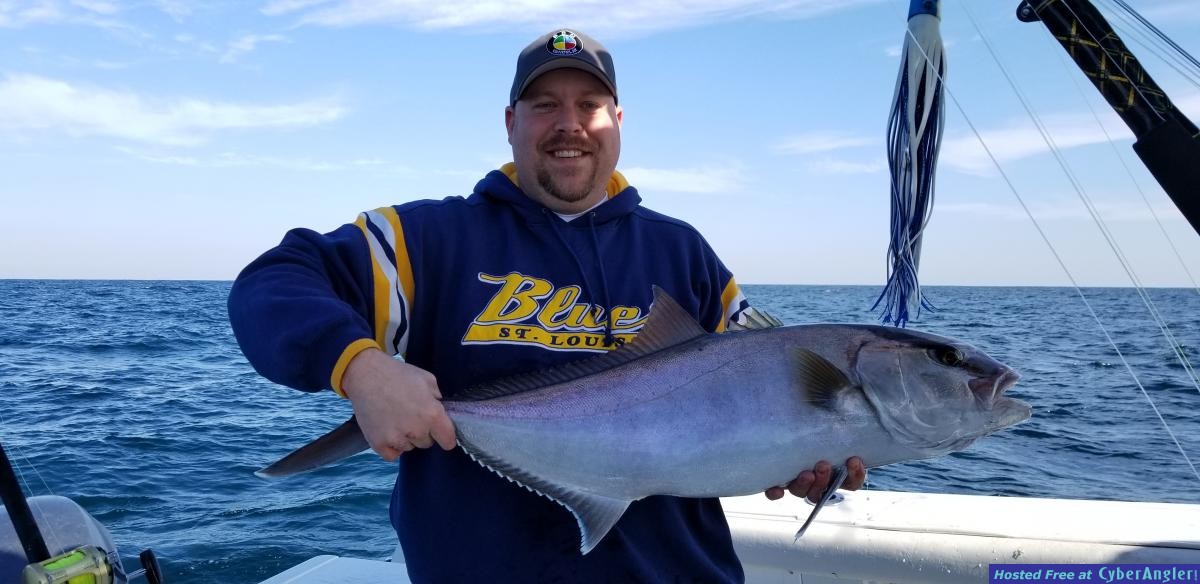 Click to Enlarge Photo