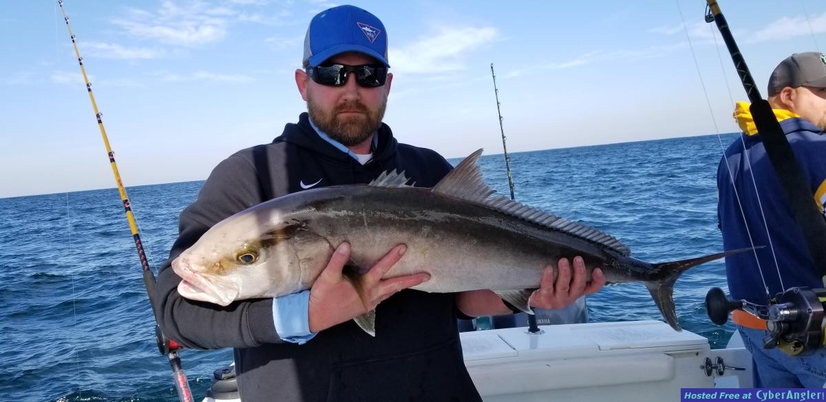 Click to Enlarge Photo