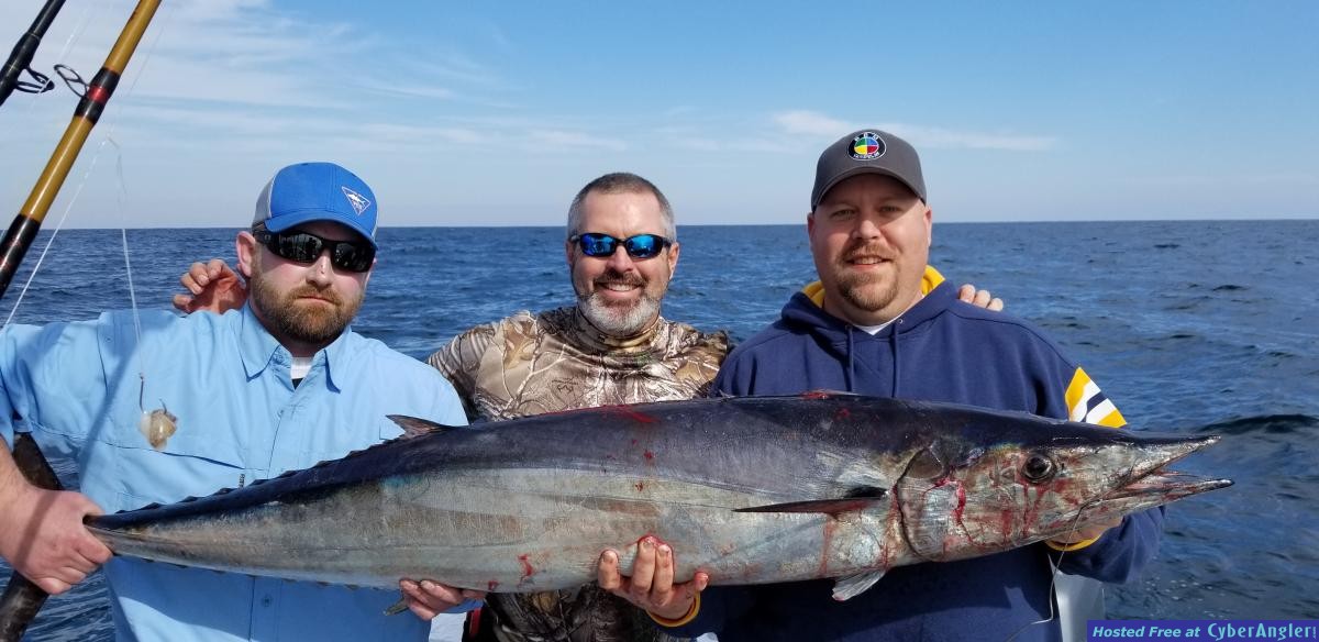 Click to Enlarge Photo